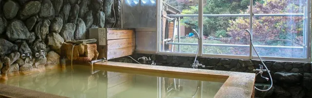 窓の外に紅葉が見える内湯
